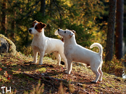 090924 eppu&inka.jpg - Ruskalenkillä